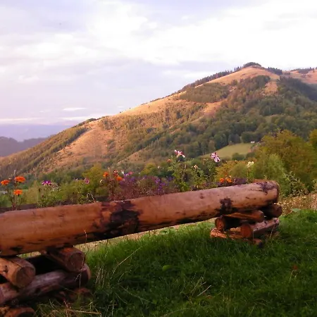Pensiunea Bujor De Munte Hotel Petrosani