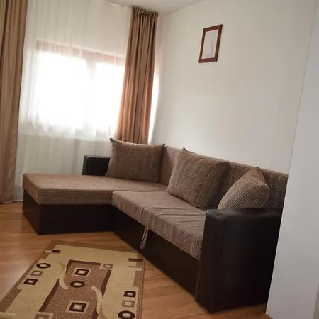 Hotel Pensiunea Bujor De Munte Petrosani